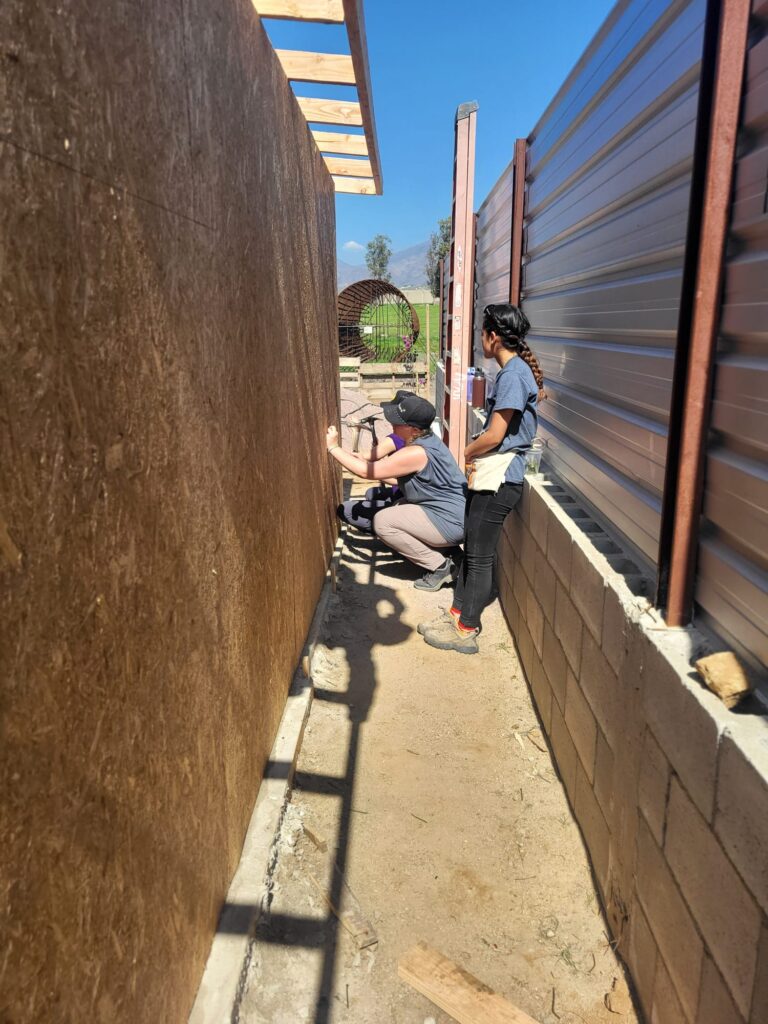 Mexico 2025 - Day 3 (4)