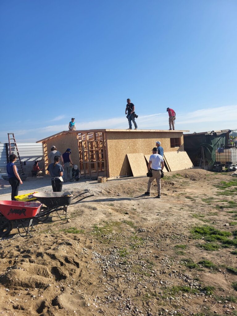 Mexico 2025 - Day 3 (5)