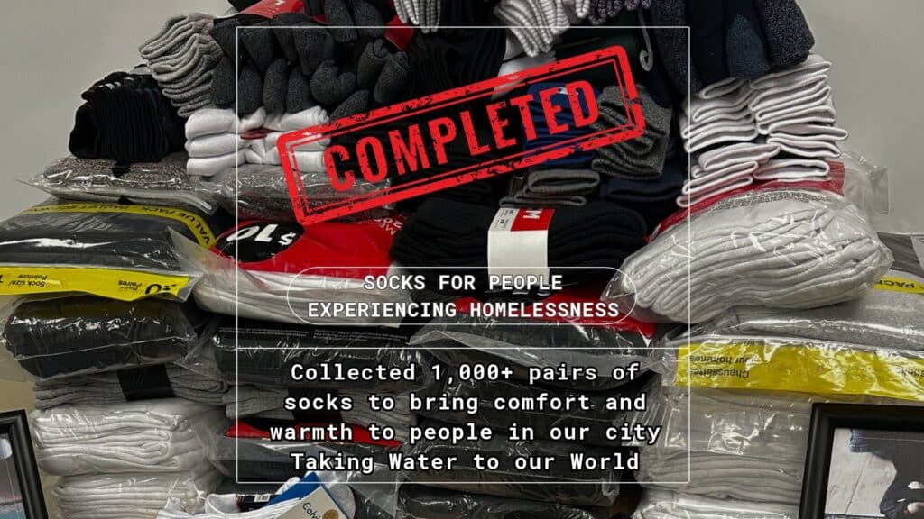 Socks 2026